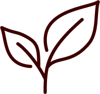 Natural Care